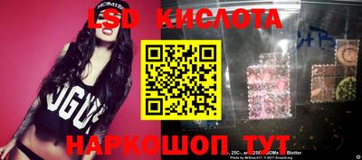 гашик Канаш