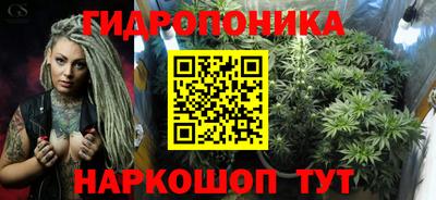 гашик Канаш