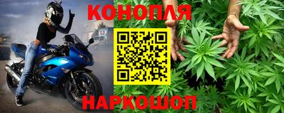 гашик Канаш