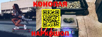 гашик Канаш