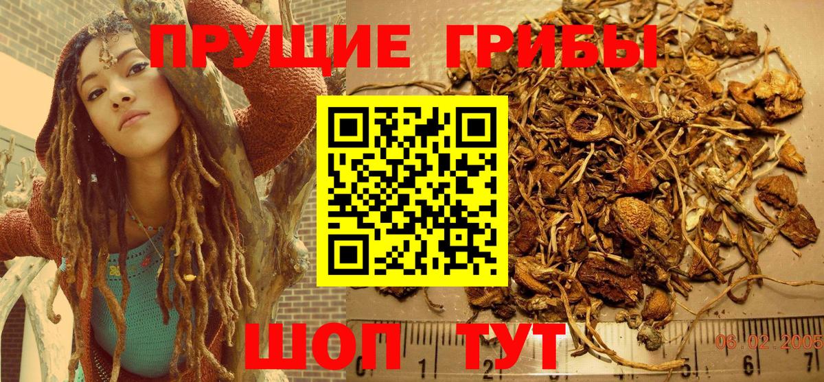 Майский  Псилоцибиновые грибы MAGIC MUSHROOMS  Вход с VPN 